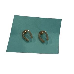 Horseshoe Earrings